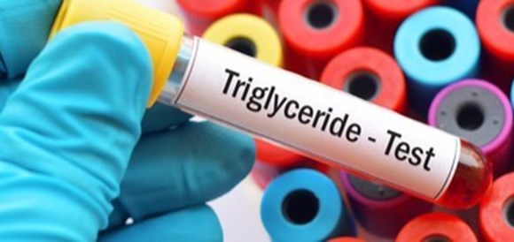 בדיקות רמת טריגליצרידים בדם (Triglycerides level) - תמונה